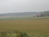Thumbs/tn_PA040315.jpg